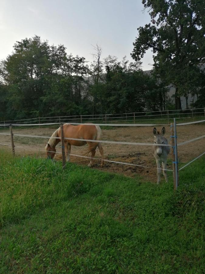 Cascina Legnago Trilocale A 6 Chilometri Da Salo' Appartement Villanuova sul clisi Buitenkant foto