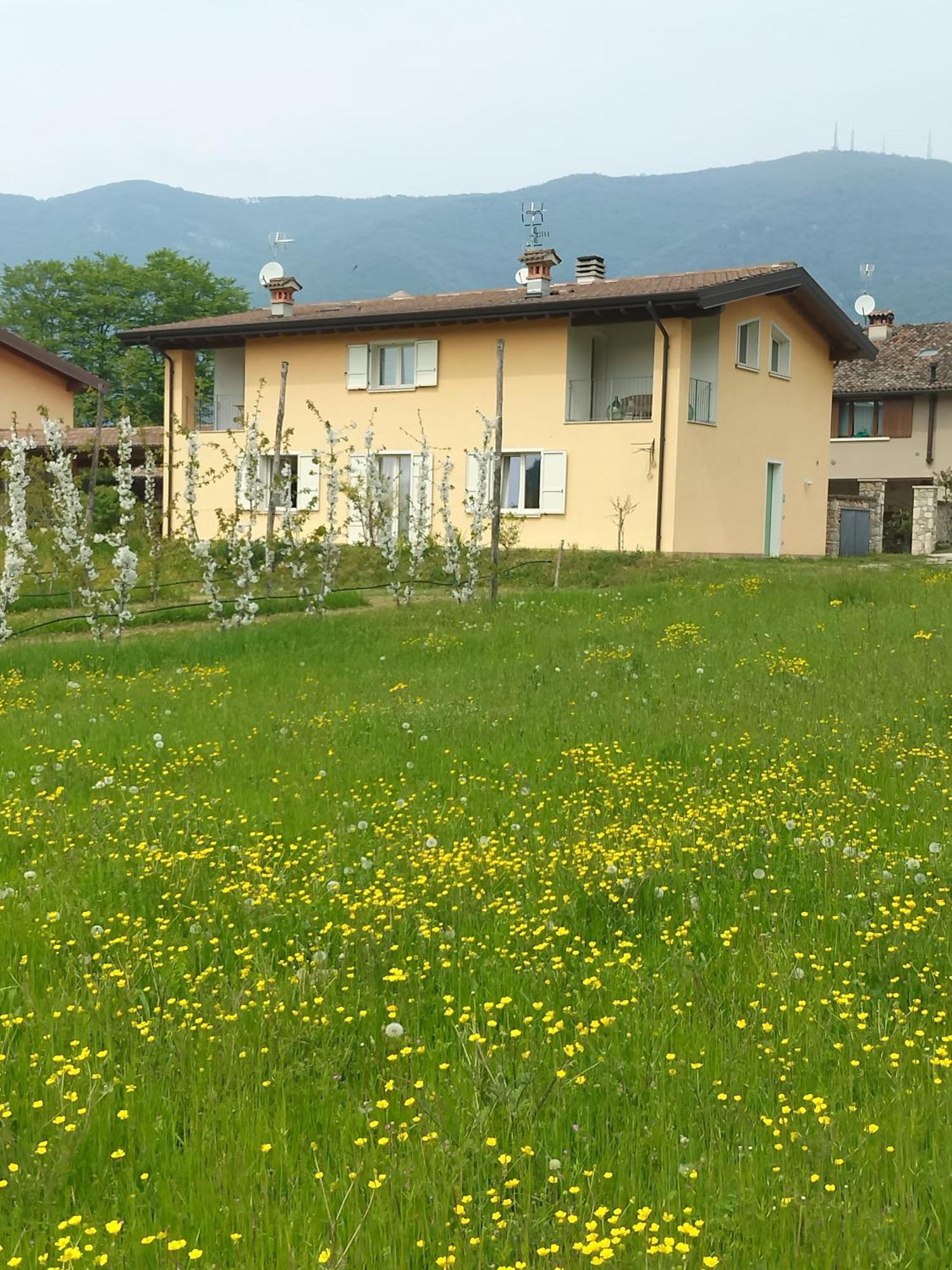 Cascina Legnago Trilocale A 6 Chilometri Da Salo' Appartement Villanuova sul clisi Buitenkant foto