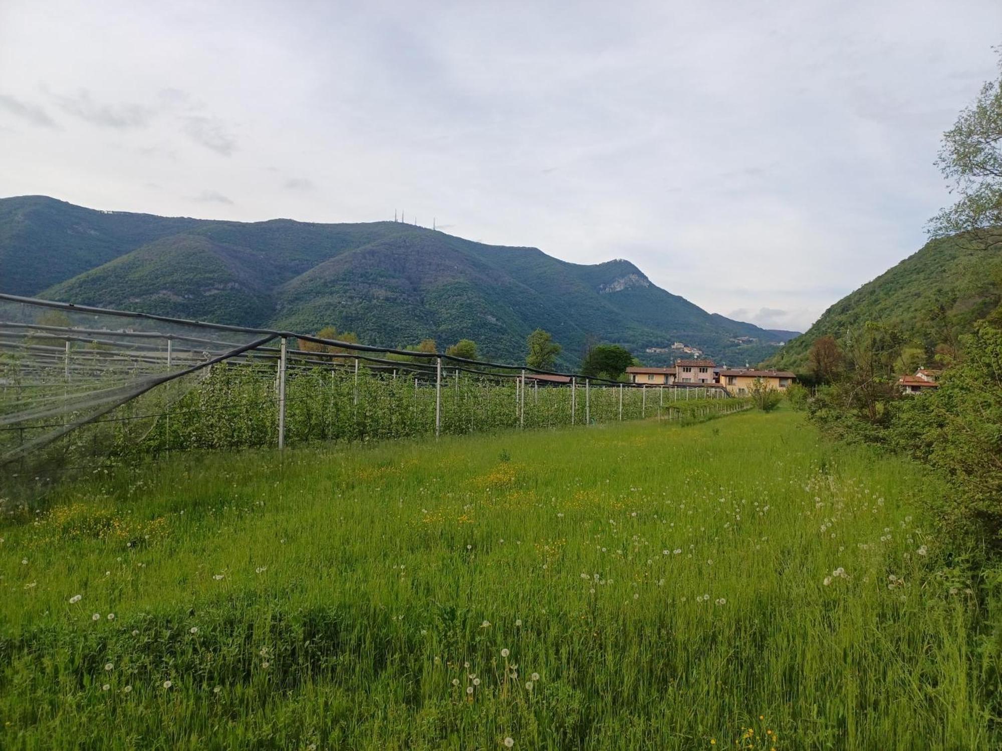 Cascina Legnago Trilocale A 6 Chilometri Da Salo' Appartement Villanuova sul clisi Buitenkant foto